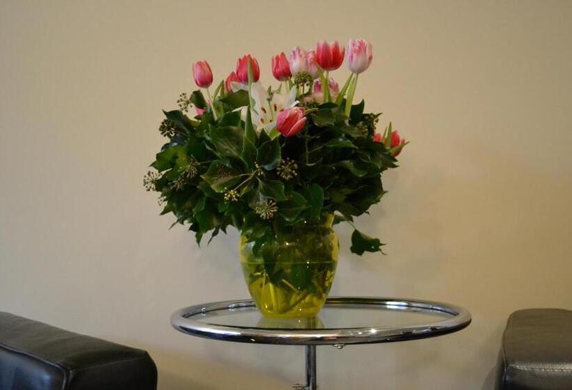 استودیوی استاندارد, Luxueuze Studio Herengracht