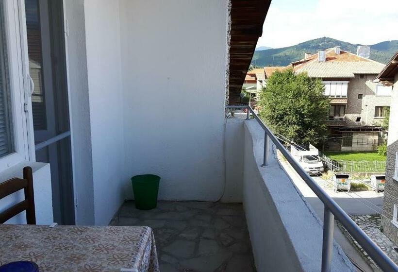 Апартаменты Пентхаус 1 Спальня, Guest House Radoychevi