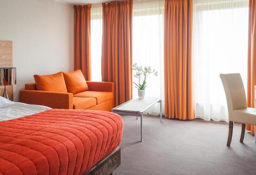 Номер Стандарт, Bazuny Hotel&spa