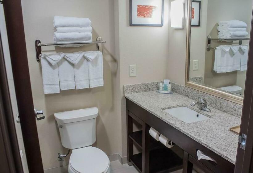Стандартный Номер Кровать Кинг, Comfort Inn & Suites Artesia