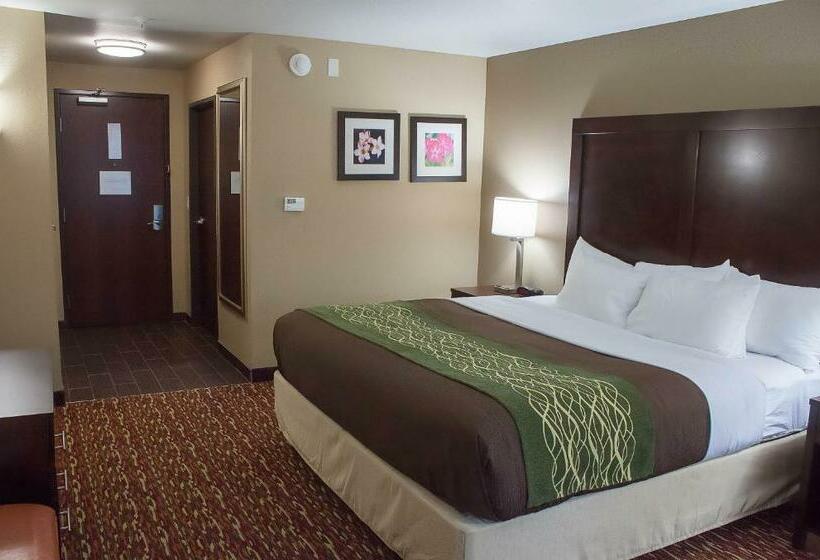 キングサイズベッドのスタンダードルーム, Comfort Inn & Suites Artesia