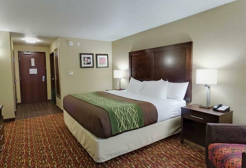Стандартный Номер Кровать Кинг, Comfort Inn & Suites Artesia