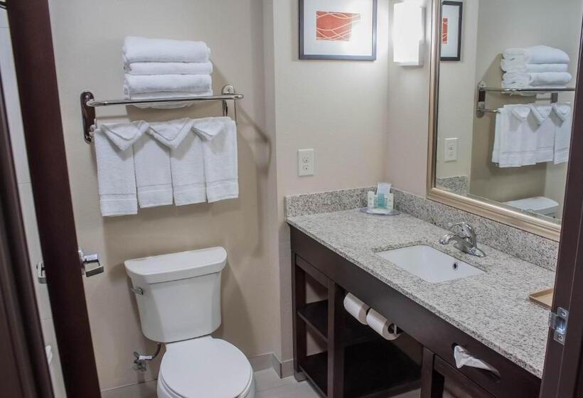 キングサイズベッドのスイートルーム, Comfort Inn & Suites Artesia