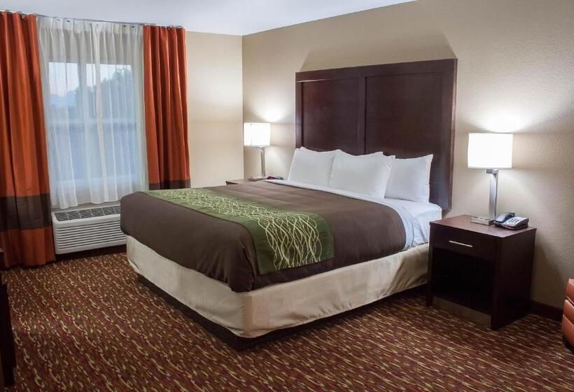 キングサイズベッドのスイートルーム, Comfort Inn & Suites Artesia