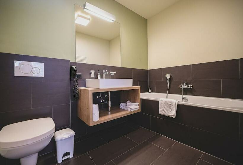آپارتمان سوپریور 2 خوابه, Priva Alpine Lodge Lenzerheide