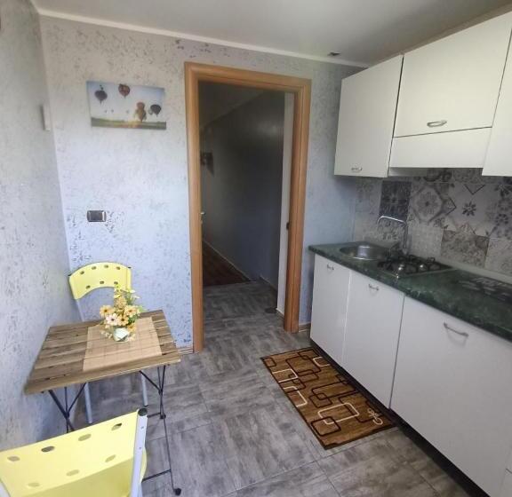 Студия Стандарт, B&b Ciro