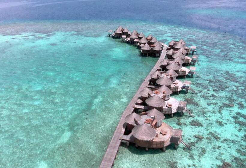 ویلای 1 خوابه, Nika Island Resort & Spa, Maldives