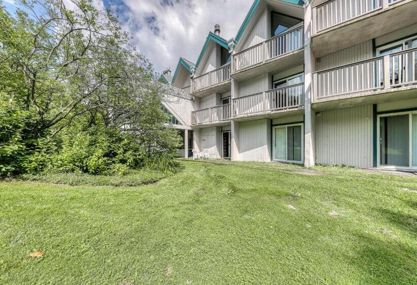 Апартаменты 1 Спальня, Cozy Mountainside Condo