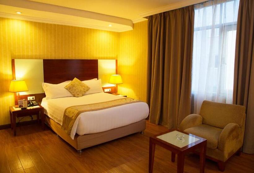 اتاق استاندارد یک نفره, Jupiter International Hotel   Bole