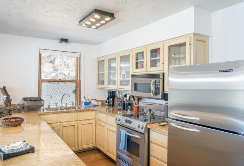 ２ベッドルームハウス, Colorado Ave East 101   Ski Loft House