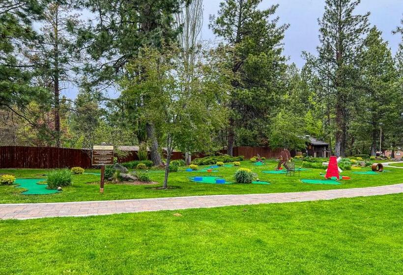 استودیوی استاندارد, Alpine Escape