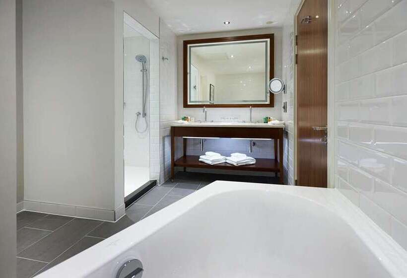 Люкс Кровать Кинг, Hilton Southampton   Utilita Bowl