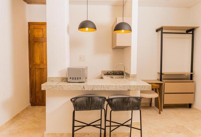 استودیو استاندارد با چشم‌انداز باغ, Del Mar Guest House