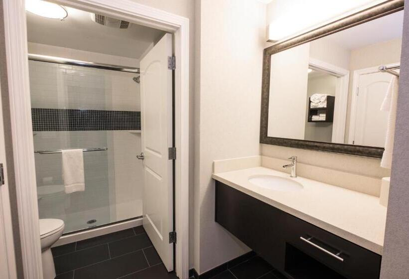 Студия Стандарт, Staybridge Suites Albany Wolf Rd Colonie Center, An Ihg