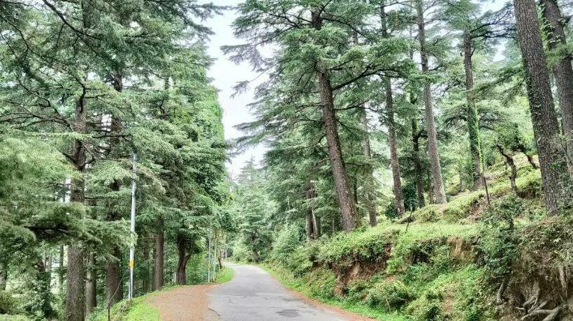 스탠다드 룸 산 전망, The Roots Hotel & Resort Jalna Almora