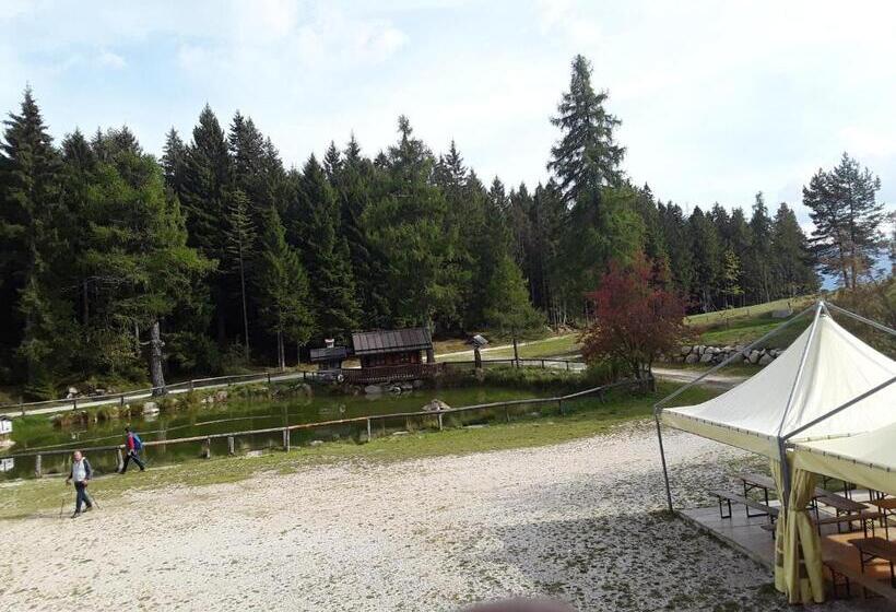 Апартаменты 2 Спальни, Chalet Musiera