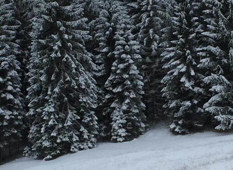 Апартаменты 2 Спальни, Chalet Musiera