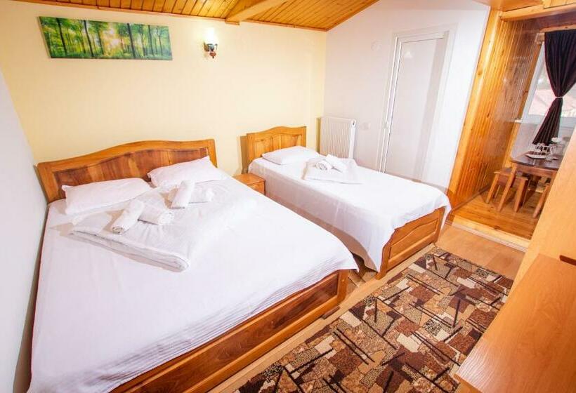 Номер Стандарт Трехместный, Casa Albă