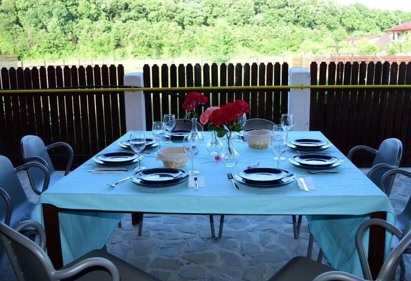 آپارتمان 2 خوابه, Pensiunea Corbeanca   Cazare Si Evenimente