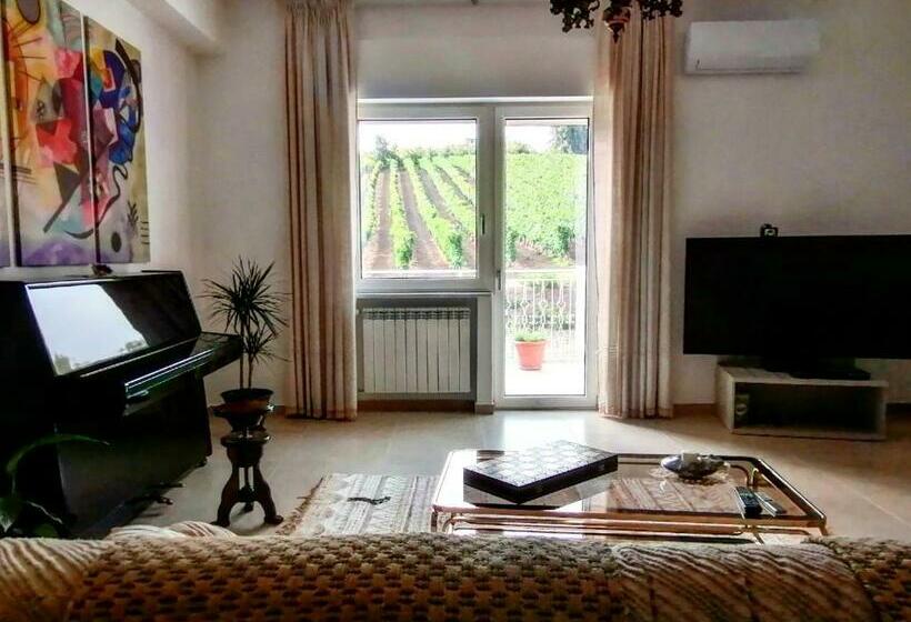 Номер Стандарт, Feudo Di Castelmozzo