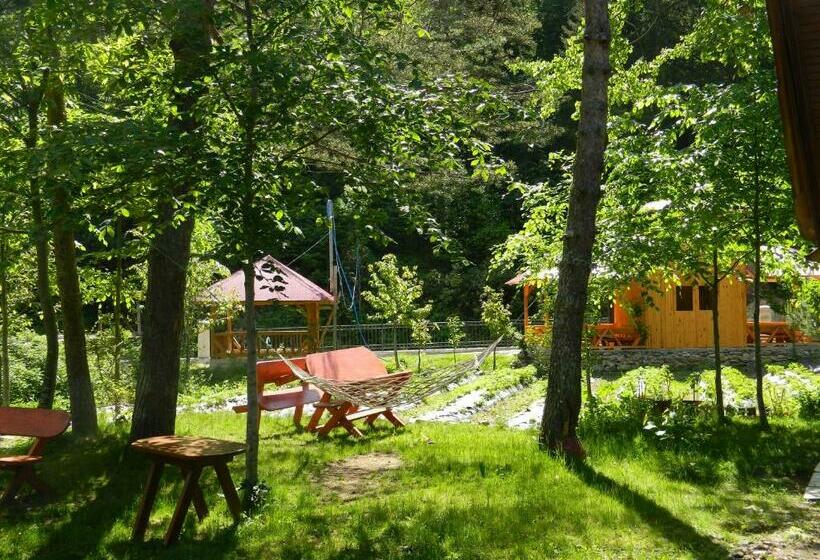 Апартаменты 1 Спальня с Террасой, Yesilyayla Eko Turizm