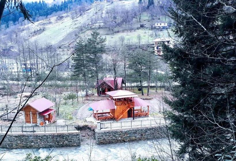 Апартаменты 1 Спальня с Террасой, Yesilyayla Eko Turizm