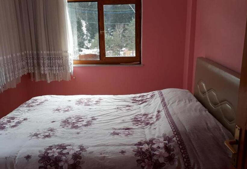 Апартаменты 1 Спальня Вид на Сад, Yesilyayla Eko Turizm