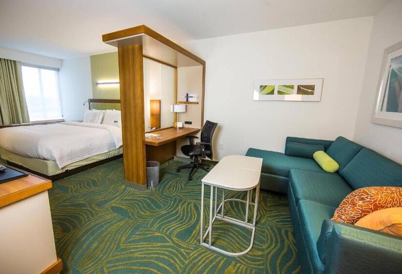 Студио Стандарт Кровать Кинг, Springhill Suites Lumberton