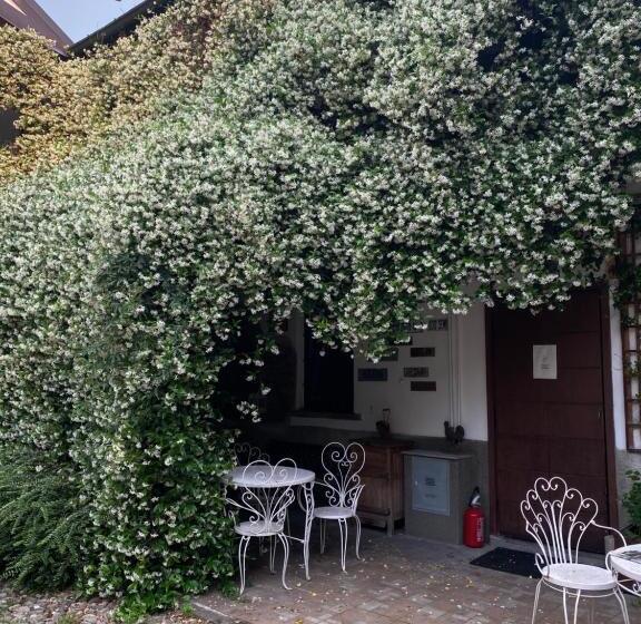Студия Стандарт, Antica Corte Milanese