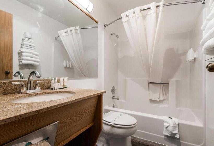 Номер Стандарт, Sonora Aladdin Motor Inn