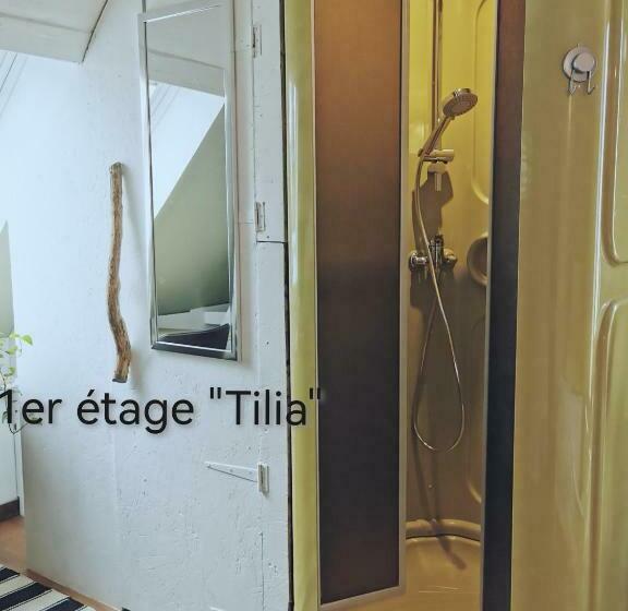اتاق استاندارد, La Coticia