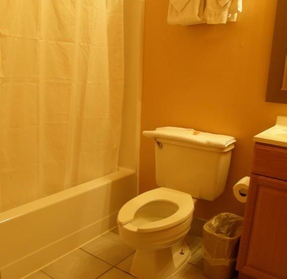 스탠다드 룸, Americas Best Value Inn Stone Mountain Atlanta E