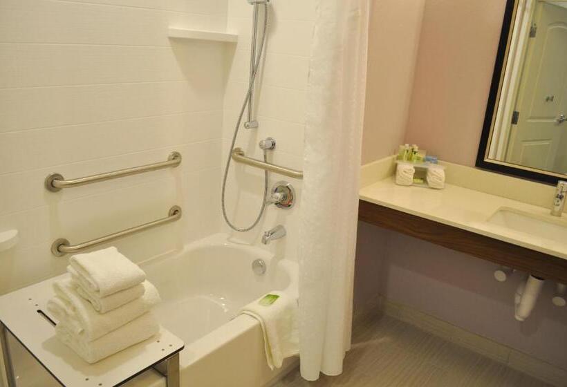 带大床的套房, Holiday Inn Express & Suites Price, An Ihg