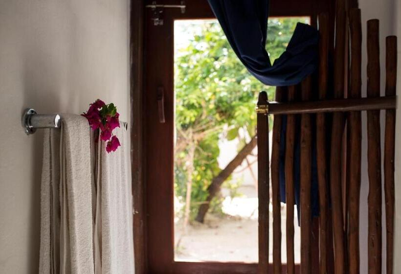 اتاق اکونومی, Indigo Beach Zanzibar