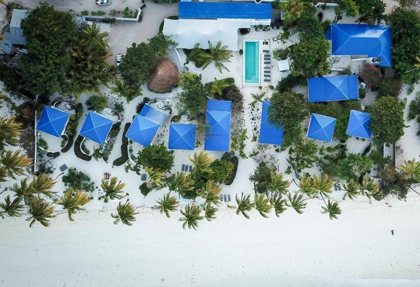 بانگلوی استاندارد, Indigo Beach Zanzibar