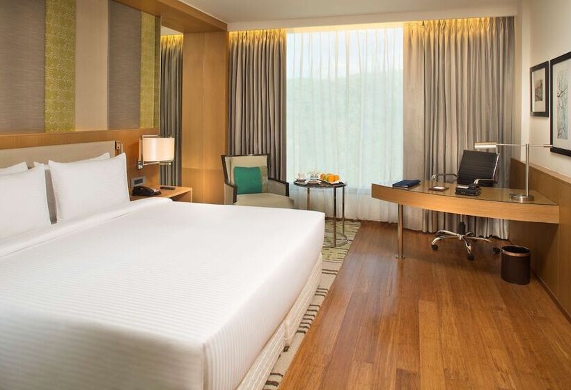 高级大房间, Radisson Blu Hotel Guwahati