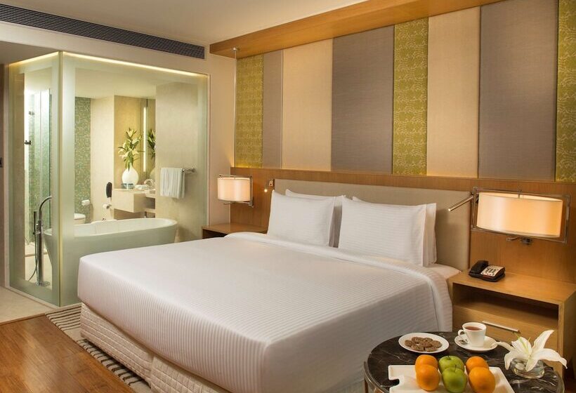 高级大房间, Radisson Blu Hotel Guwahati