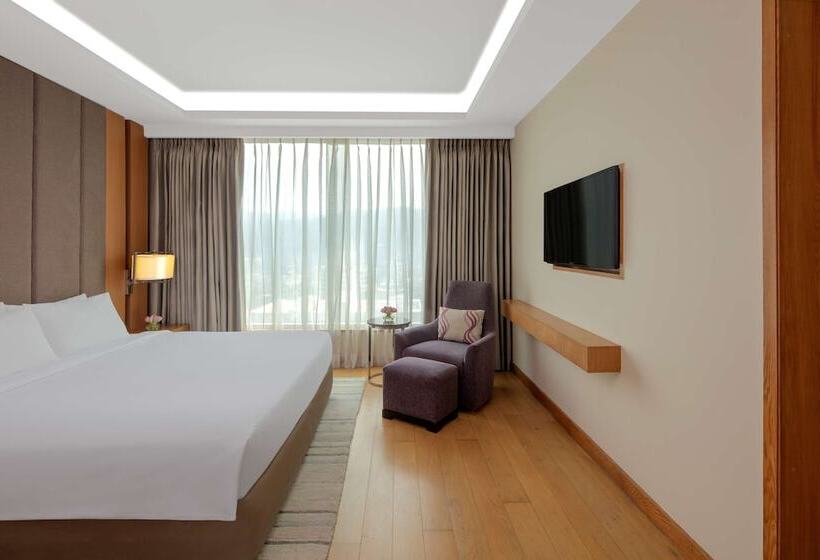 Junior Suite, Radisson Blu Hotel Guwahati