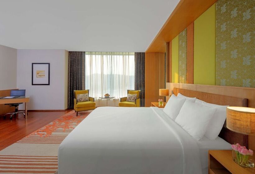 小型套房, Radisson Blu Hotel Guwahati