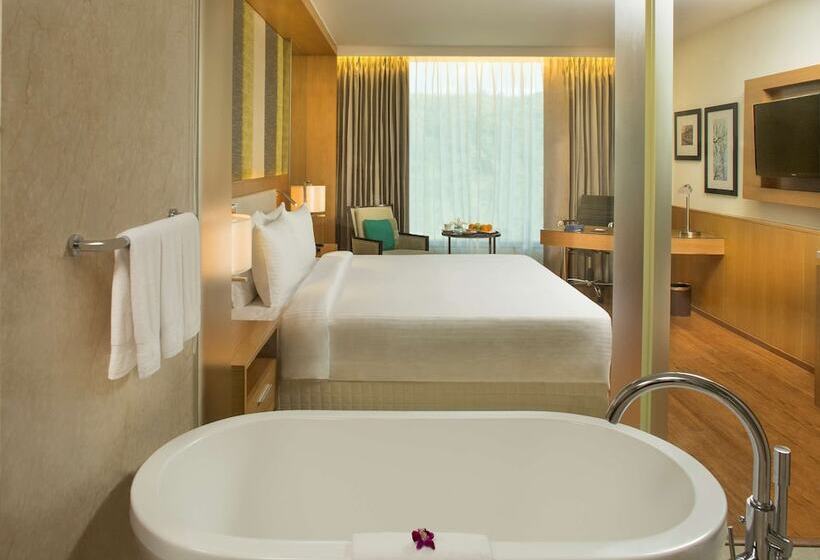 豪华房间, Radisson Blu Hotel Guwahati