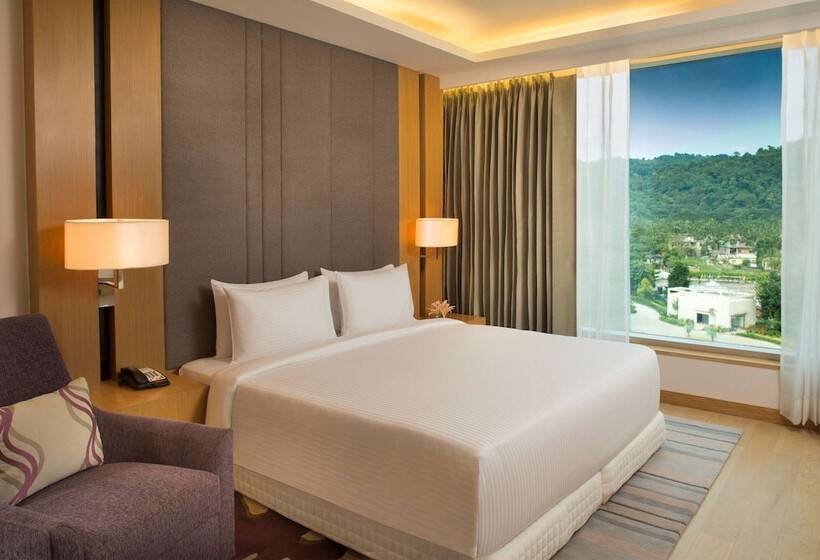 套房, Radisson Blu Hotel Guwahati