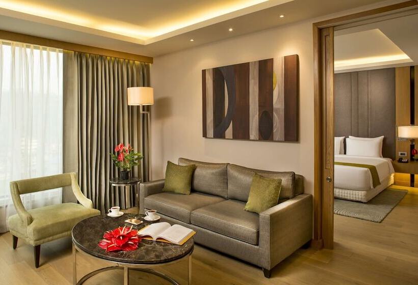 Suite, Radisson Blu Hotel Guwahati