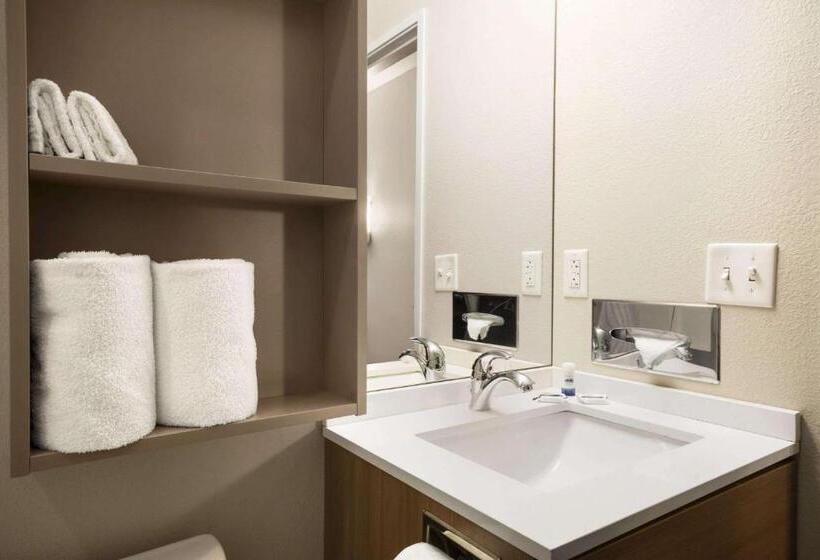 标准间, Microtel Inn & Suites By Wyndham