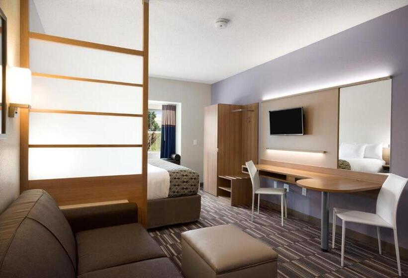 带大床的标准间, Microtel Inn & Suites By Wyndham