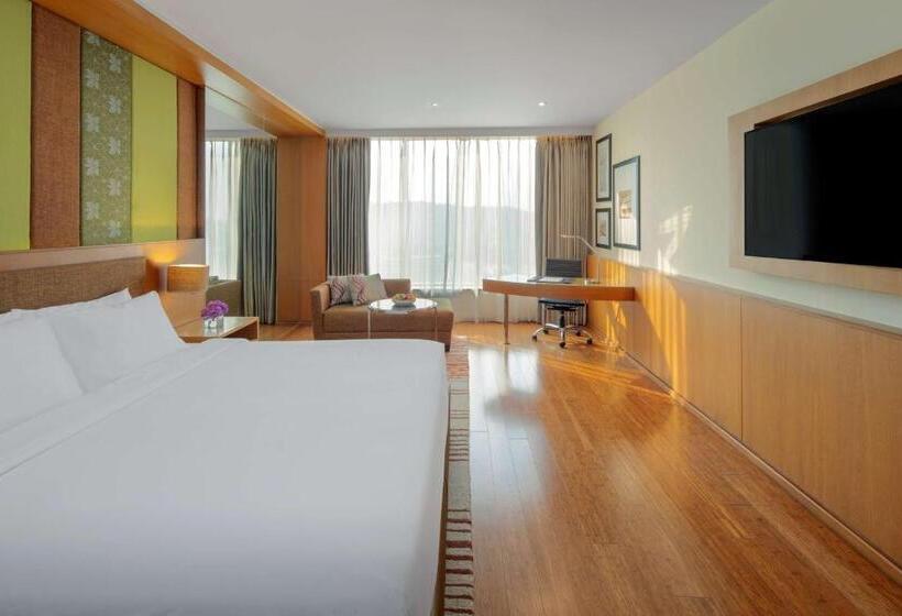 商务房间, Radisson Blu Hotel Guwahati