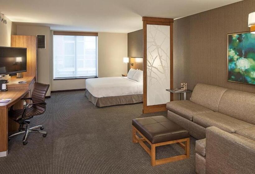 Стандартный Номер Кровать Кинг, Hyatt Place Lincoln/downtown Haymarket
