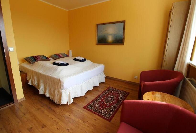 اتاق استاندارد با سرویس بهداشتی مشترک, Guesthouse Steinsholt