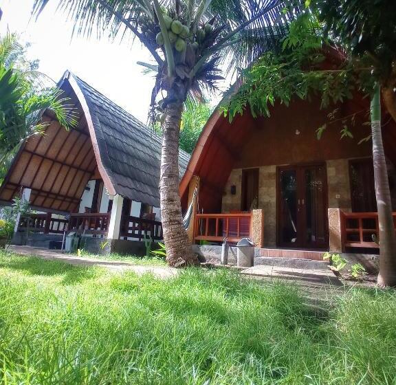 اتاق لوکس با تخت بزرگ, Follow The Rabbit Bungalow