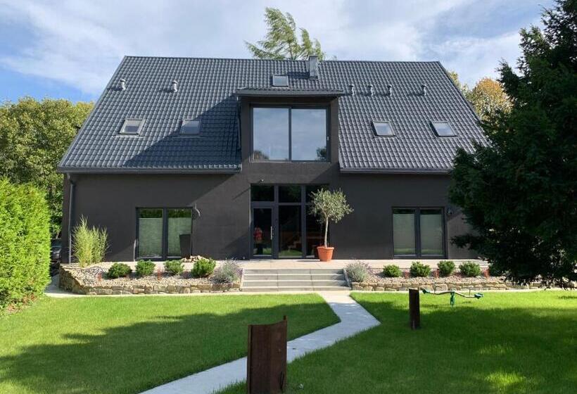 Номер Стандарт с Террасой, Black House 88
