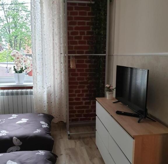 آپارتمان 2 خوابه, Sanktuarium Snu Apartments